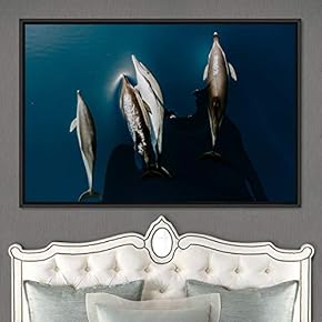 signwin Framed Canvas Wall Art Swimming Free Cool...