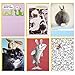 Hallmark (HALLV) Hallmark Shoebox Funny Easter Cards Assortment with Envelopes, 6 Cards, Shoebox