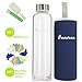 Bonison Stylish Environmental Borosilicate Glass Water Bottle with Colorful Nylon Sleeve (18oz) (Blue)
