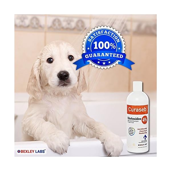 curaseb shampoo for dogs