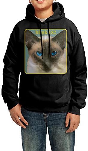Unisex Youth Blink-182 Cheshire Cat Pullover Hood