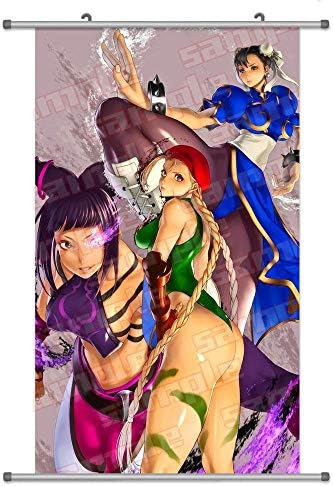 Laohujia A Wide Variety of Street Fighter Anime Characters Wall Scroll Hanging Decor (Group 2)