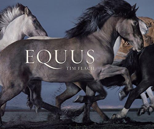 Equus (Mini): Tim Flach (MIni edition)