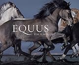 Equus (Mini) by 