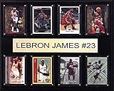 NBA Cleveland Cavaliers Lebron James 8-Card Plaque, 12 x 15-Inch