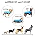 Didog Reflective Dog Winter Coat Sport Vest Jackets Snowsuit Apparel - 8 Sizes Available For Small Medium Large Dogs,Blue,4XL Size