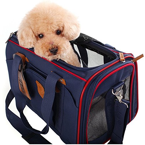 肩掛け 軽量 ノーブランド品 ペットキャリーバッグ ソフトキャリー メッシュ B01lsxvvu0 小型犬猫用 ブルー 折りたためる キャリーバッグスリング 在庫処分 Nafusah Com