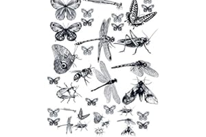 XpressionDecals Winged Insects - 3 Different Size Sheet Ceramic & Glass Decals