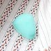 [Hesta] Menstrual Cup- FDA Registered Feminine Hygiene Cup (2 Different Sizes) (Size1(Regular))