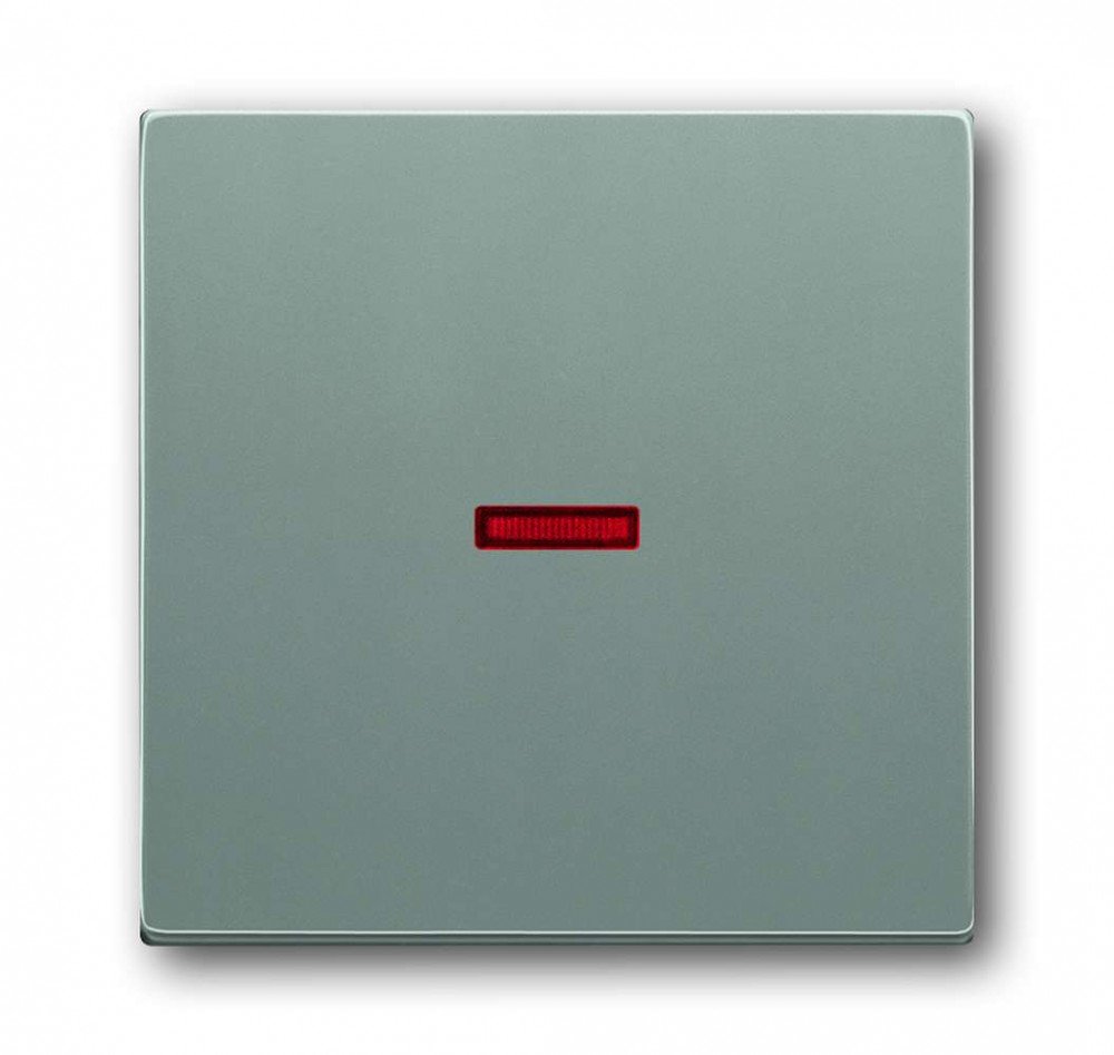 Busch-Jaeger 1789 803 Rocker Light Switch Cover Plate
