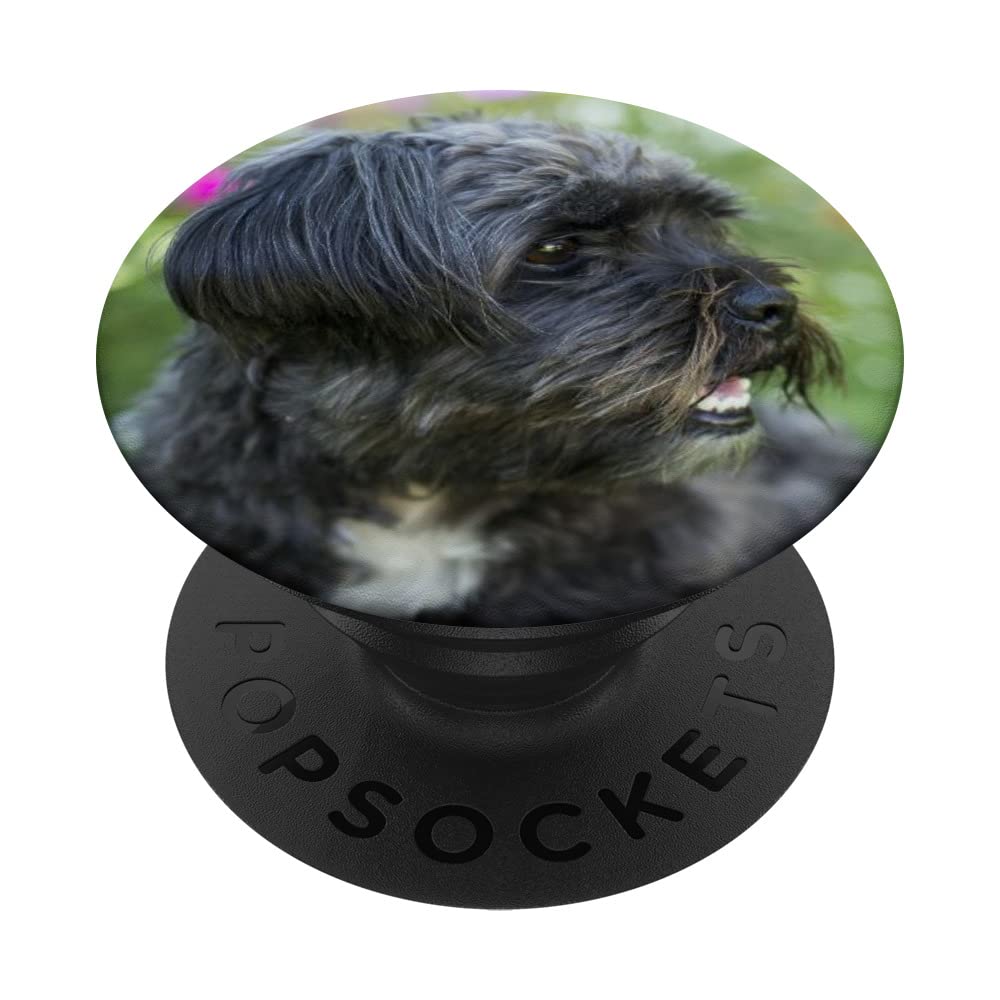 Shih Tzu PopSockets Swappable PopGrip