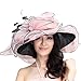 June's Young Women Race Hats Organza Hat with Ruffles Feathers