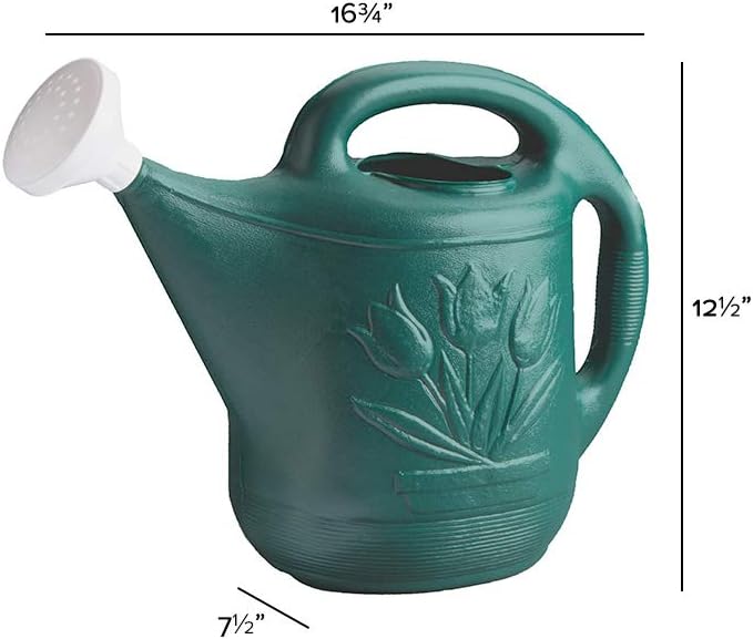 Novelty MFG 30301 Watering Can, 2-Gallon, Green : Watering Nozzles : Garden & Outdoor