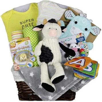 amazon baby gifts