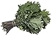Organic Kale Seeds - Red Russian Kale (150+ Seeds)