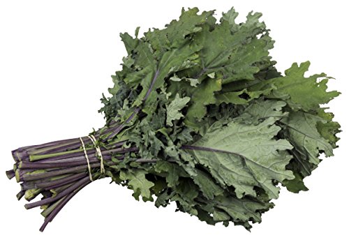 Organic Kale Seeds - Red Russian Kale (150+ Seeds) Organic Kale Seeds - Red Russian Kale (150+ Seeds)