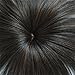 Namecute Top Wiglet Womens Top Hairpieces Clip in/on Hair Short Black Mix Brown Color Heat Resistant Synthetic Mix Human Hair Bang for Thinning Hair, Hair Loss ，Alopecia