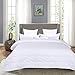 HOMBYS Lightweight Queen Goose Down Alternative Quilted Comforter Queen Size - All Season Plush Microfiber - Machine Washable Duvet Insert- Warmth Hypoallergenic Bed Comforter(Full/Queen,White)
