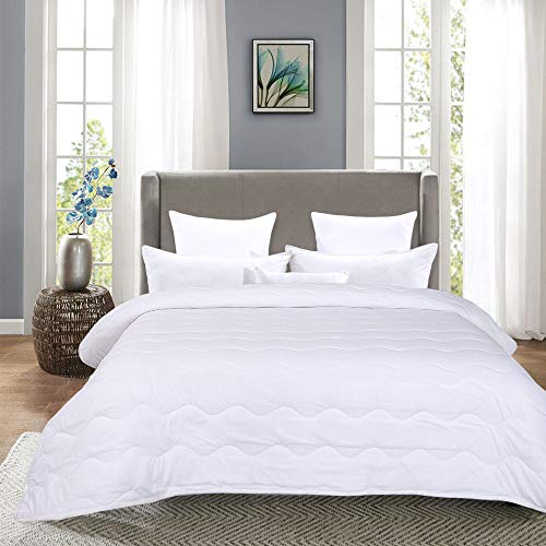 HOMBYS Lightweight Queen Down Alternative Quilted Comforter Queen Size