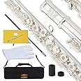 Glory Silver Plated Intermediate 17keys, Open/closed Hole C Flute with B Foot Joint,Offset G, with Case,cleaning Rod, Cloth and Gloves
