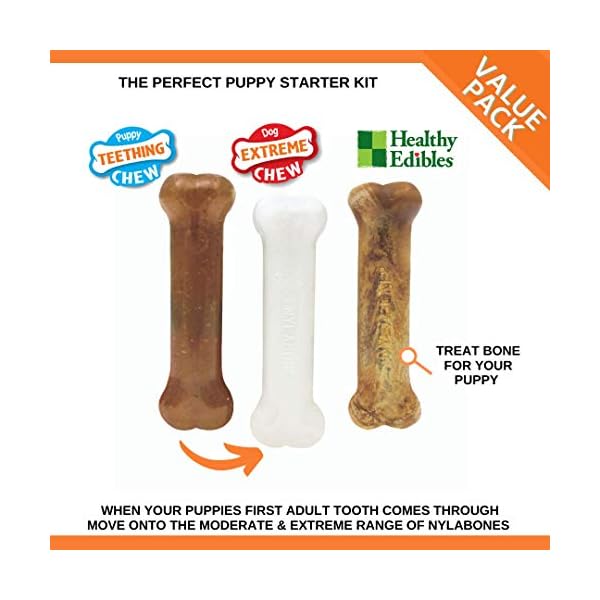 Nylabone Puppy Starter Kit, 3 Dental Dog Chew Bones, 1 Edible, 1 Gentle, 1 Extreme, for Small Breeds Puppies Up to 11 kg…