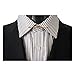 Sunny Home 2pcs Men's Collar Bars Metal Collar Pins Metal Noble Tie Rods Brooch Clips