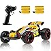 RC Racing Car, 2.4Ghz High Speed Remote Control Car, 1:18 2WD Toy Cars Buggy for Boys & Girls with Two Rechargeable Batteries for Car, Gift for Kids