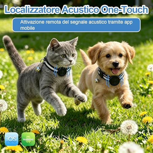 Collare GPS Gatto 2 in 1,Collare GPS per Cani Riflettente,Tracker per Cani Senza Abbonamento,Compatibile con iOS/Android,Collare Regolabile con Campanellino,Adatto a Cane di Piccola Taglia/Gatti-Nero