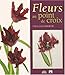 Fleurs au point de croix by 