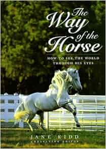 The Way Of The Horse How To See The World Through His