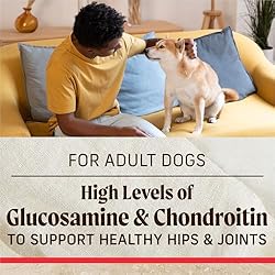Merrick Healthy Grains Premium Adult Dry Dog