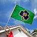 College Flags & Banners Co. Irish Shamrock Banner Flag