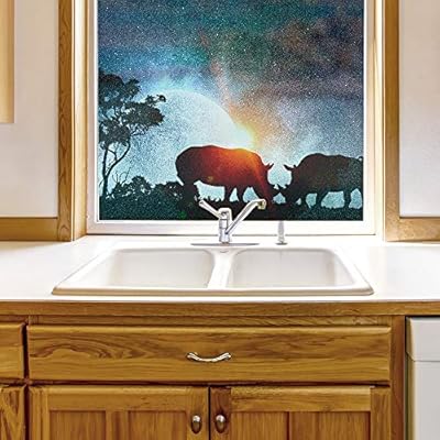 Window Film for Privacy Planet Large Decorative Glass...
