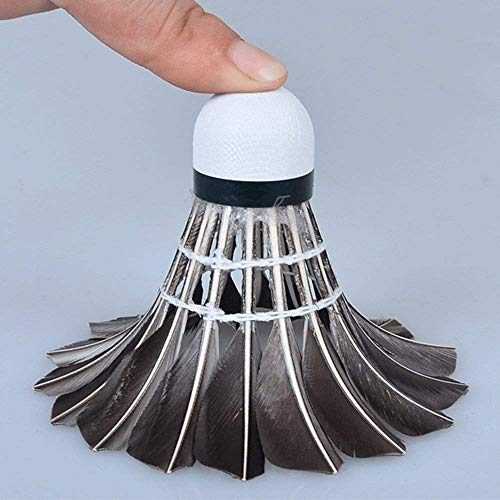 ZHENAN 12-Pack Black Goose Feather Badminton Shuttlecocks with Great Stability and Durability,Advanced Shuttlecocks Indoor Outdoor Sports Hight Speed Training Badminton Birdies Balls - Thumbnail 2