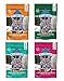 Blue Buffalo Wilderness Soft-Moist Grain-Free Cat Treats Variety Pack - 4 Flavors (Chicken & Duck, Chicken & Trout, Chicken & Salmon, and Chicken & Turkey) - 2 Oz Each (4 Total Pouches) primary