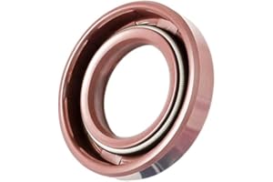 EAI 25mm x 40mm x 6mm FPM/FKM TC Double Lip w/Stainless Steel Spring Oil Seal. Comp. /w Viton Shaft Seal