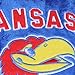 Fabrique Innovations NCAA Pillow Pet, Kansas Jayhawks