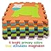 Foam Puzzle Play Mat, Tomi Baby Playmat with 9 Soft Interlocking Floor Tiles for Infants, Toddlers and Kids-Great Mats for Crawling and Playing -Vibrant Animal Shapes- Non Toxic