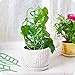 WINGOFFLY DIY Garden Plant Pot Mini Climbing Trellis Plant Support(9 Pack)