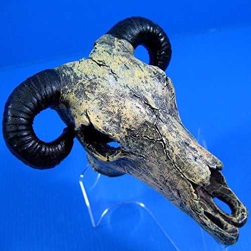 Goat Skull cave 4.9"x4.5"x3.2" Aquarium Ornament Decor resin fish tank hide bone