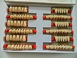 Halloween Horror Prop - 3 sets of Dental Quality Resin Teeth for Prop Building!