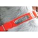 GoTags Sporting Dog Collar with Personalized Nameplate in Stainless Steel, Waterproof Orange Hunting Dog Collar Resistant to Dirt, Oils and Moisture, Odor-Proofthumb 2