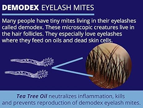 tea tree eye makeup remover