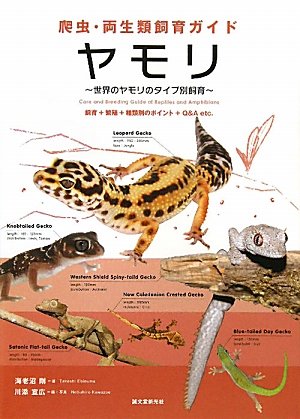 爬虫 両生類飼育ガイド ヤモリ 世界のヤモリのタイプ別飼育 飼育 繁殖 種類別のポイント Q A Etc 海老沼 剛 宣広 川添 本 通販 Amazon