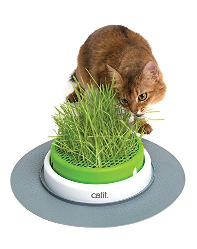 Catit Senses 2.0 Grass Planter 3-Pack