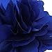 Tinksky 2-in-1 Beautiful Satin Peony Flower Style Women Girls Hair Clip Hairpin Brooch (Royal Blue)