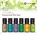 Aromatherapy Oil Gift Set by Eve Hansen - 6 10ml Essential Oils (Lavender, Peppermint, Eucalyptus, Tea Tree, Lemon, and Sandalwood)