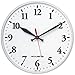 AcuRite Chaney Instrument Co. P9130 Outdoor Pool Clock 12 in. Face
