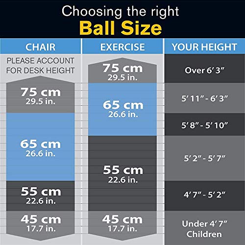 4 DYNAPRO+Exercise+Ball+Professional+Centimeters