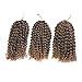 BeautyGrace Pack of 3 Marlybob Crochet Braids Hair Ombre Afro Kinky Curly Braiding Hair Extensions for Girl Women(8